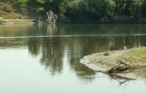 Кракен даркнет только через торг