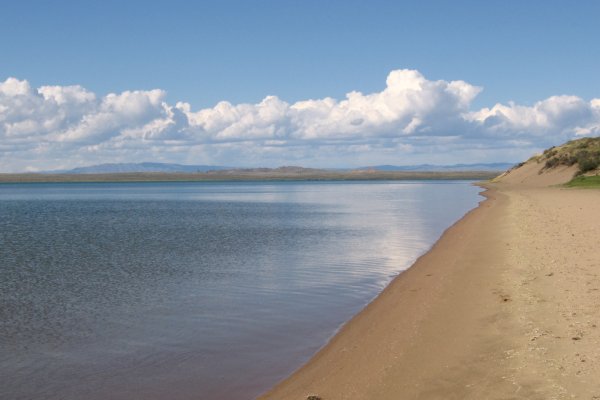 Кракен вывод средств