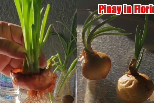 Кракен даркнет только через тор скачать