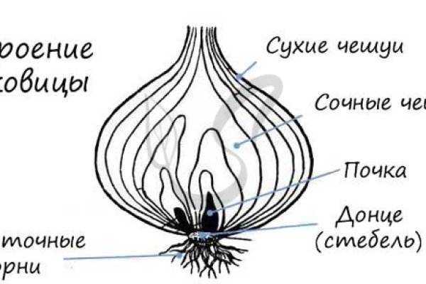 Ссылка на kraken торговая площадка