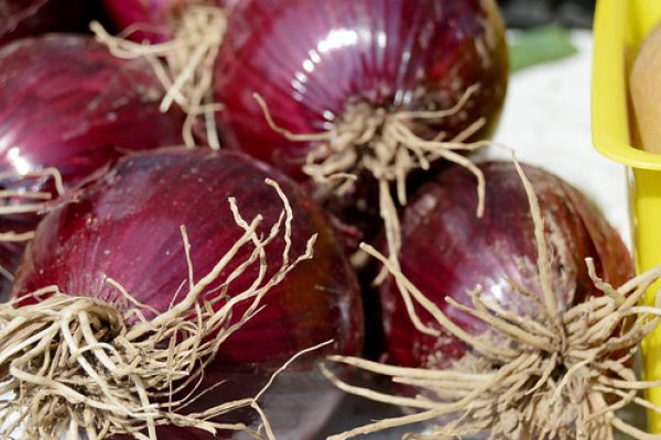 Что такое кракен плейс